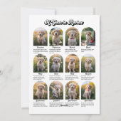 "1年の思い出" レトロな犬好きのためのフォトコラージュ シーズンカード (裏面)