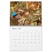 1年の海の星のカレンダー カレンダー (2月 2027)