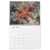 1年の海の星のカレンダー カレンダー (3月 2027)