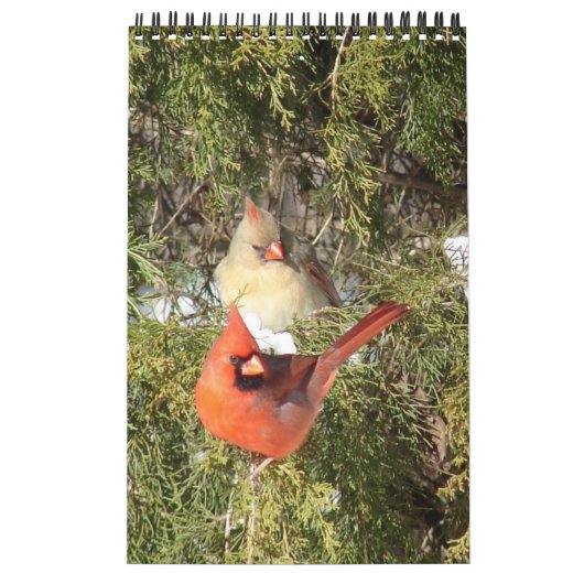 1年の深紅色 カレンダー (カバー)