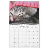 1年間のフジバタ カレンダー (1月 2026)