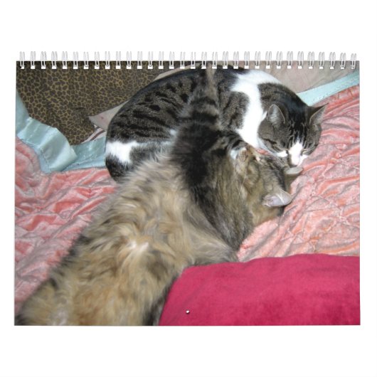 1年間の子猫（アメリカ版） カレンダー (カバー)