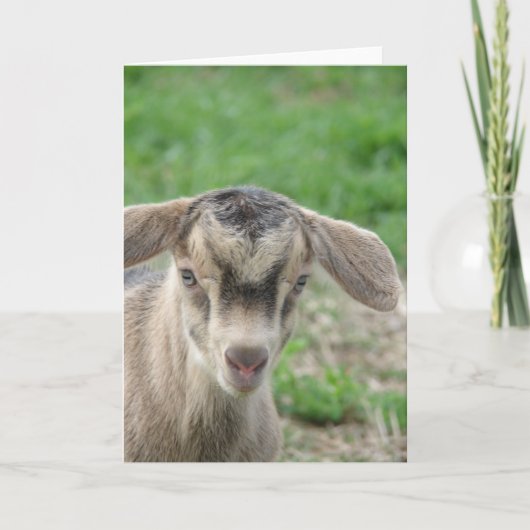 1日で雷が鳴る カード (正面)