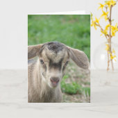 1日で雷が鳴る カード (黄色い花)