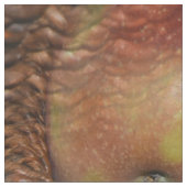 1日にリンゴ… ファブリック (クローズアップ)