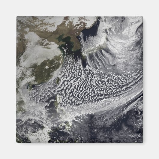 1日の雲のシミュレーシ独身のョン4 マグネット (正面)