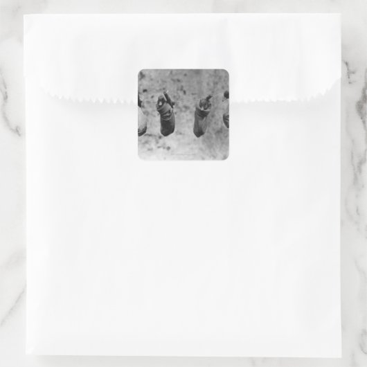 1日の4羽のアヒルが害から抜け出した スクエアシール (バッグ)