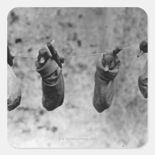 1日の4羽のアヒルが害から抜け出した スクエアシール (正面)