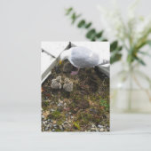 1日オールドガルチックス葉書 ポストカード (スタンド正面)