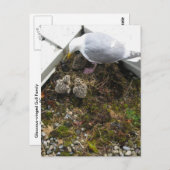 1日オールドガルチックス葉書 ポストカード (正面/裏面)