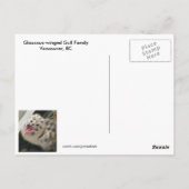 1日オールドガルチックス葉書 ポストカード (裏面)