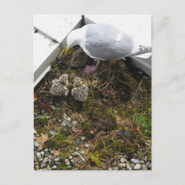 1日オールドガルチックス葉書 ポストカード