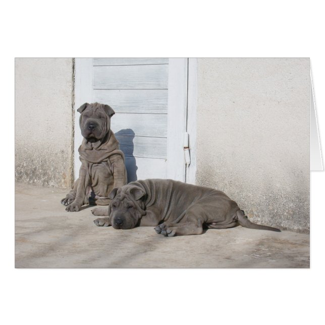 1日一度に… (正面横)