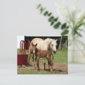 1日目 – 母子はがき ポストカード (スタンド正面)