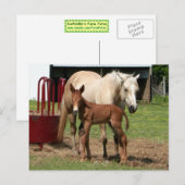 1日目 – 母子はがき ポストカード (正面/裏面)