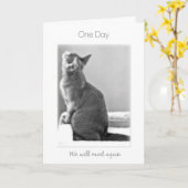 "1日私達は"猫の悔やみや弔慰に再度会います カード (黄色い花)