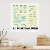 1日遊中菌を持つ（形態学） ポスター (キッチン)