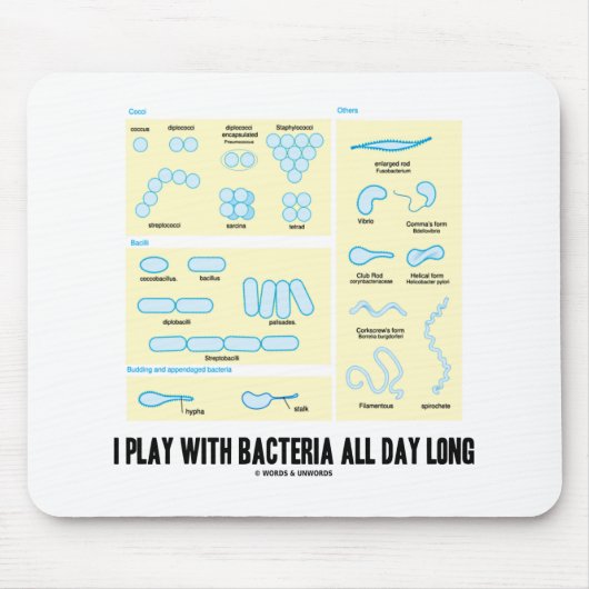 1日遊中菌を持つ(形態学) マウスパッド (正面)
