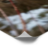 1月のアザミ ポスター (角)