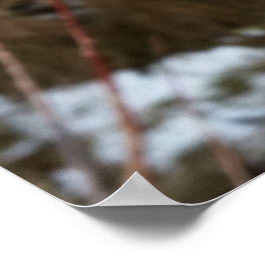 1月のアザミ ポスター (角)