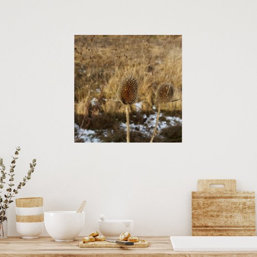 1月のアザミ ポスター (キッチン)