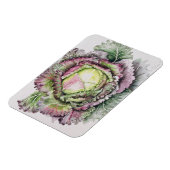 1月のキング・キャベツ マグネット (左側)