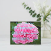 1月の興味深い事実 ポストカード (スタンド正面)