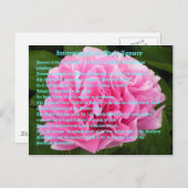 1月の興味深い事実 ポストカード (正面/裏面)