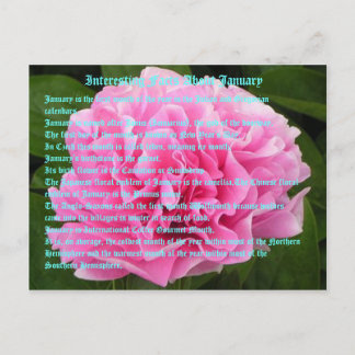 1月の興味深い事実 ポストカード