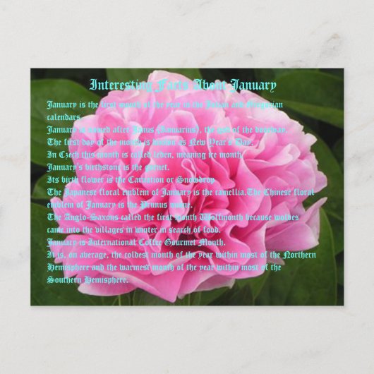 1月の興味深い事実 ポストカード (正面)