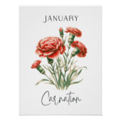 1月の誕生花 カーネーション ポスター (正面)