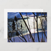 1月サンシャインオンアイススノースマック自然パターン ポストカード (正面/裏面)