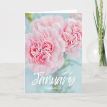 1月ピンクカーネーション誕生月花誕生日