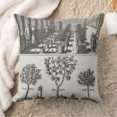 1月著「De Nederlandze Hesperides」からのOrangery、 クッション (ブランケット)