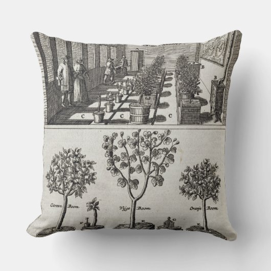 1月著「De Nederlandze Hesperides」からのOrangery、 クッション (正面)