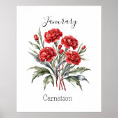 1月誕生月花カーネーション誕生日 ポスター (正面)