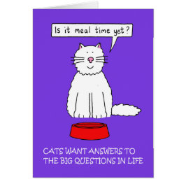 1月1日に質問に答える