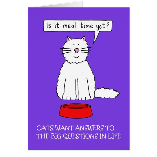 1月1日に質問に答える (正面)