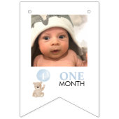 1月1日の誕生日ブルー12ヶ月マイルストーン写真 バンティングフラッグ (第3の旗)