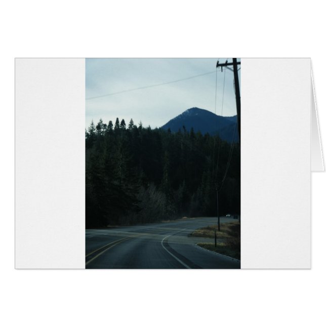 1月16日(137) (正面横)