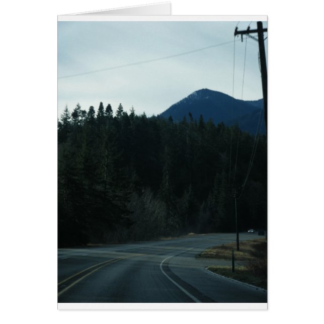 1月16日(137) (正面)