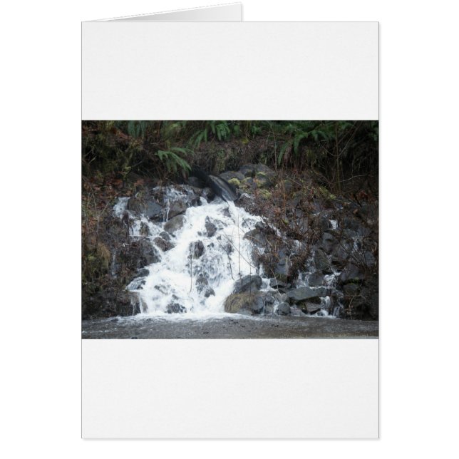 1月16日(170) (正面)