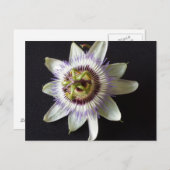 1月2日 – 教育DBRAINFART ポストカード (正面/裏面)