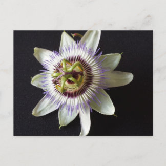 1月2日 – 教育DBRAINFART ポストカード