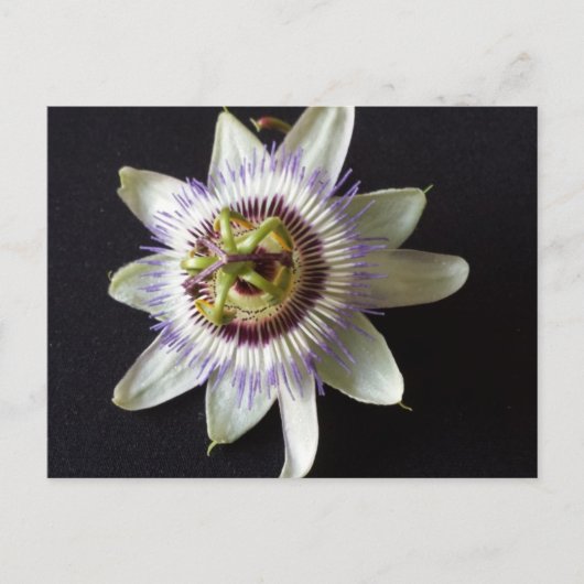 1月2日 – 教育DBRAINFART ポストカード (正面)