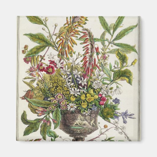 1月、「十二ヶ月の花」より マグネット (正面)