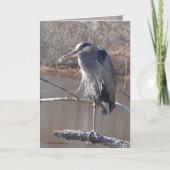 1本の足 カード (正面)