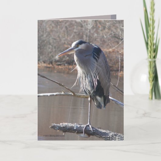 1本の足 カード (正面)