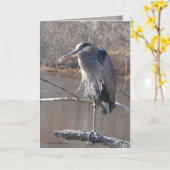 1本の足 カード (黄色い花)