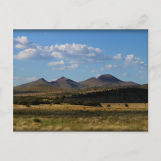 1本もしのみ – Prescott Valley, AZ ポストカード